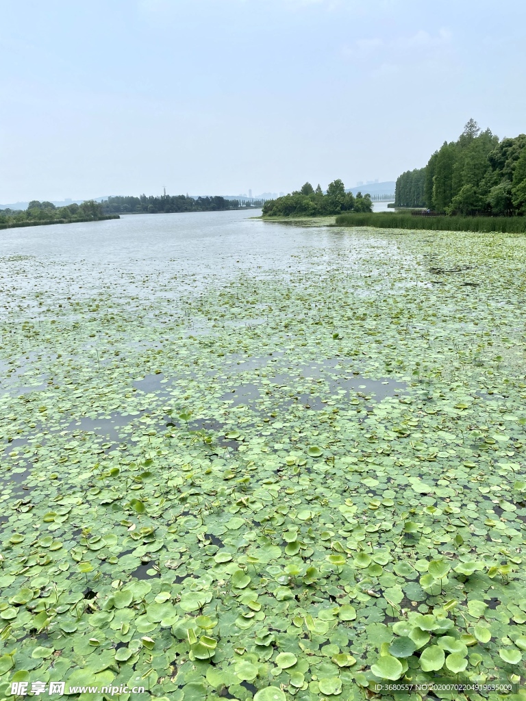 青山绿水