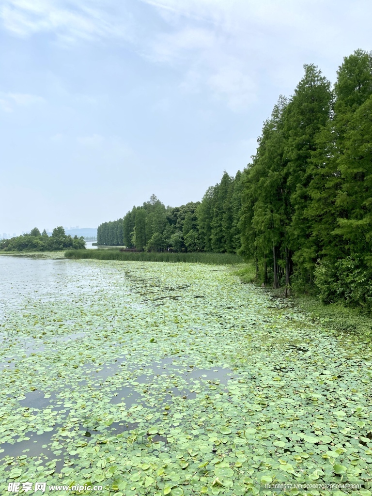 青山绿水