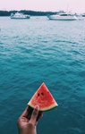 水果蔬菜