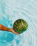 水果蔬菜
