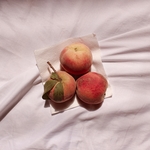 水果蔬菜