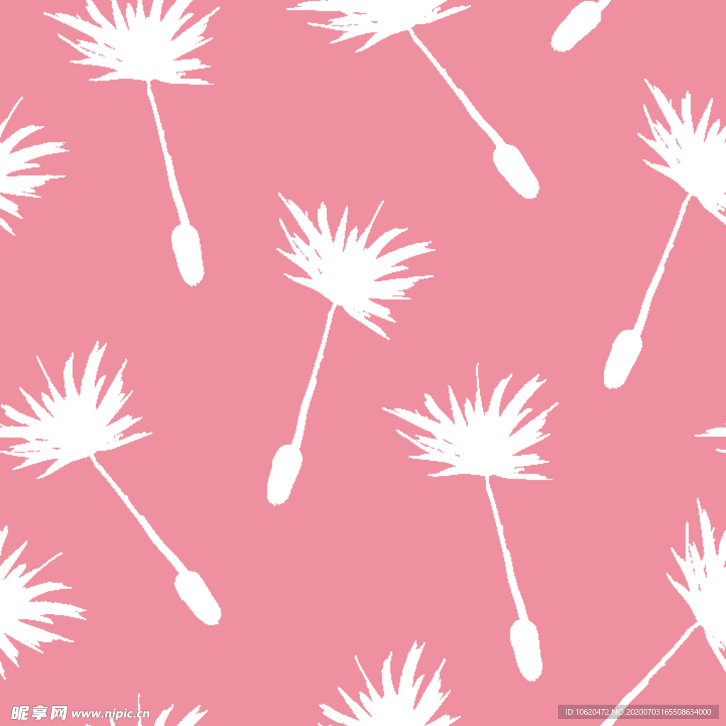 蒲公英