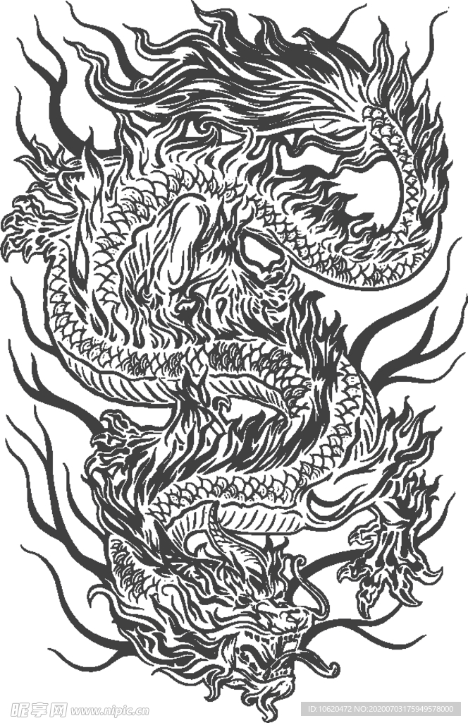 龙