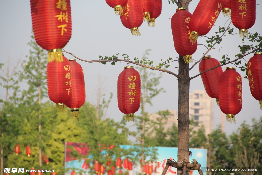 河南鹿邑上清湖公园