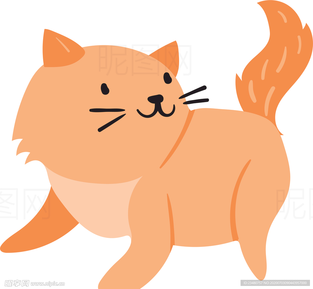 猫咪