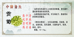中医养生 贡菊