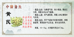 中医养生 黄芪