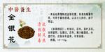 中医养生 金银花