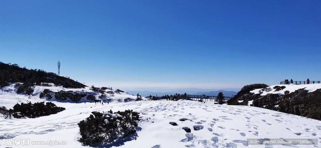 雪景