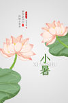 小暑节气