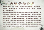 决明子