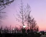 夜景
