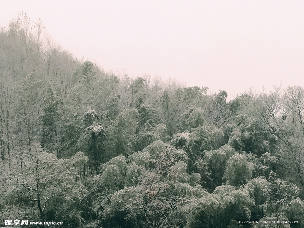 雾凇雪景