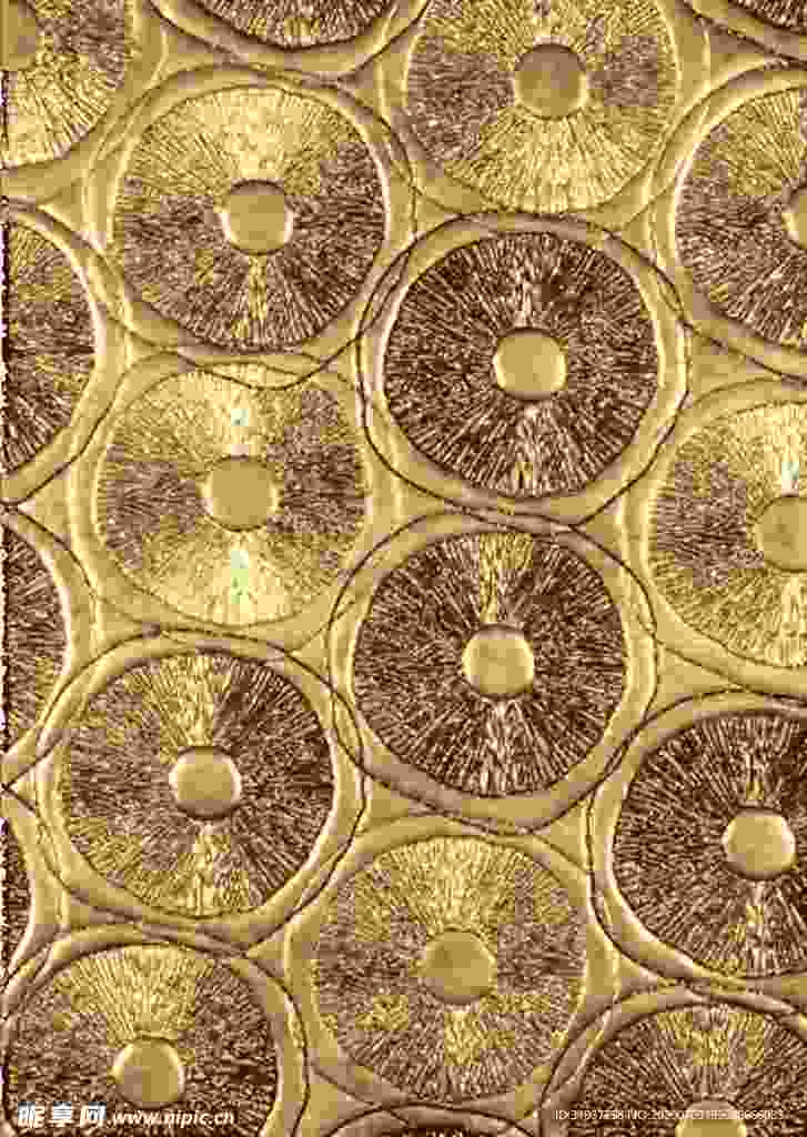 金色背景