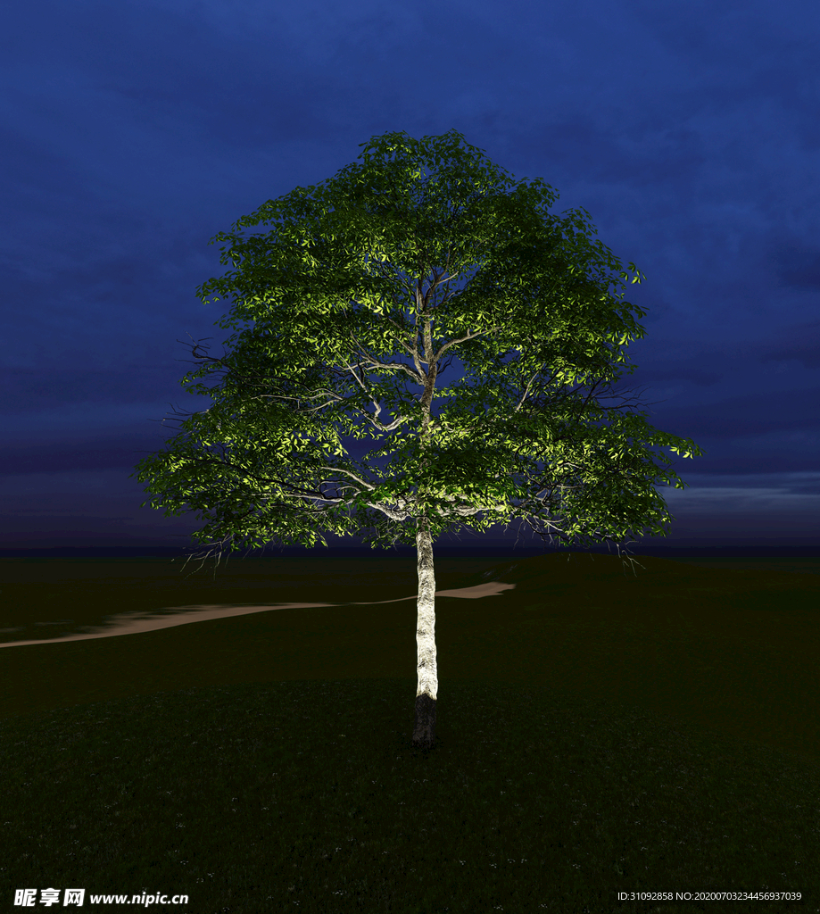 灯光树 夜景树素材 灯光树素材