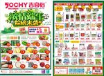 超市端午单页 生鲜 日用品