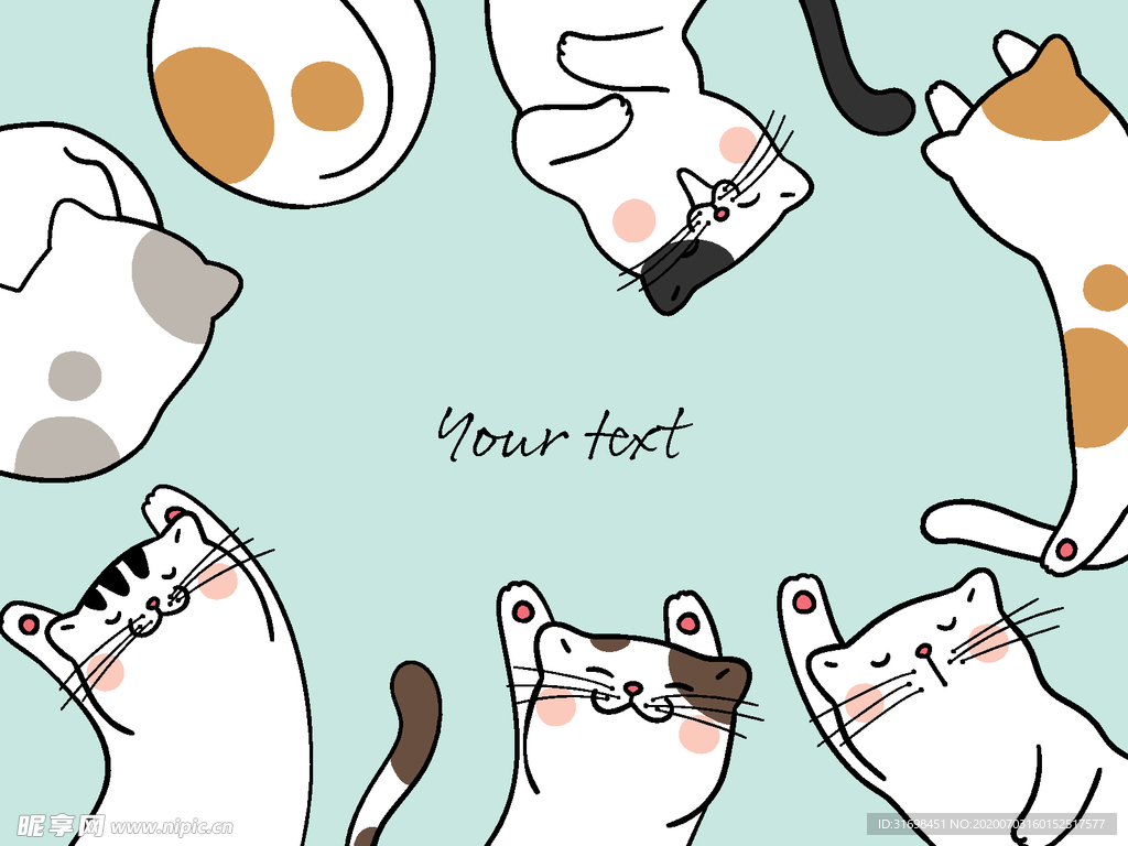 可爱猫咪