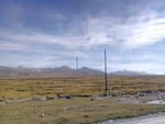 高原牧场