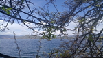 泸沽湖