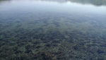 湖水
