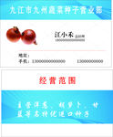蔬菜种子名片