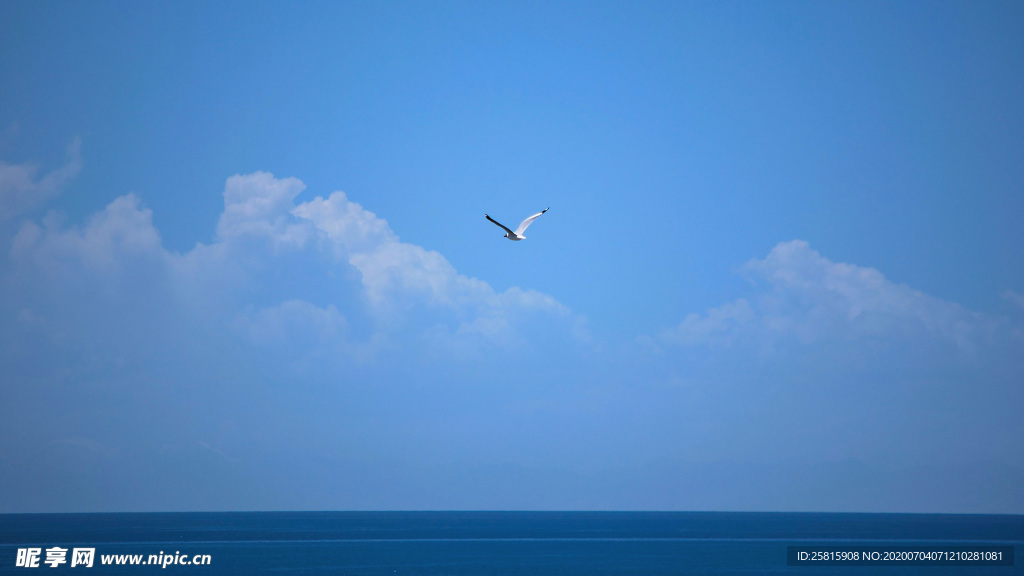 青海湖