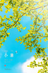 小暑