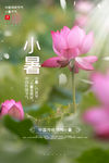 小暑