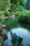 河流图片
