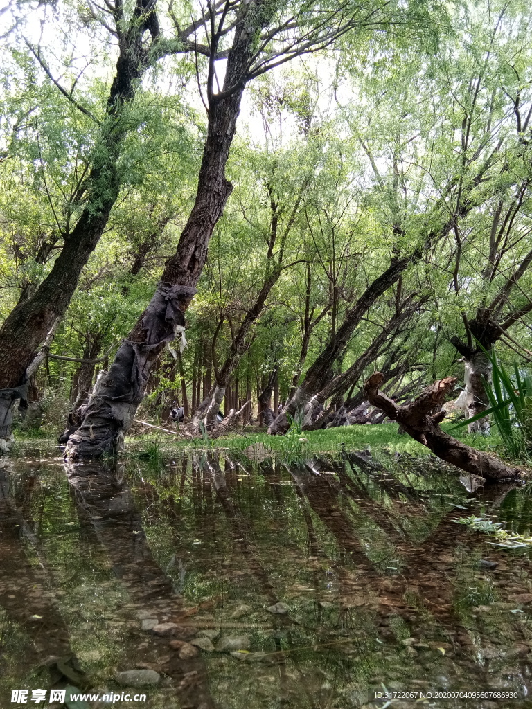 滇池