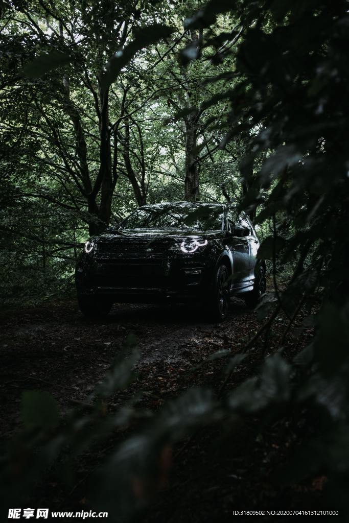 森林里的汽车
