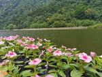 湖光山色