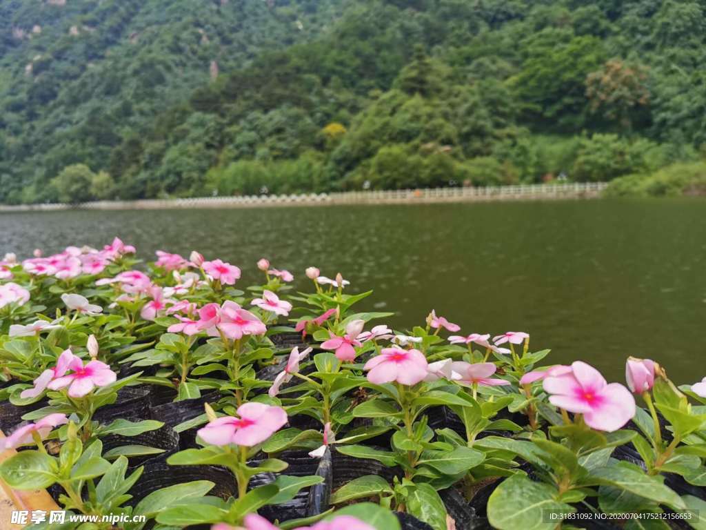 湖光山色
