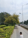城市风光