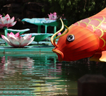 田园风采