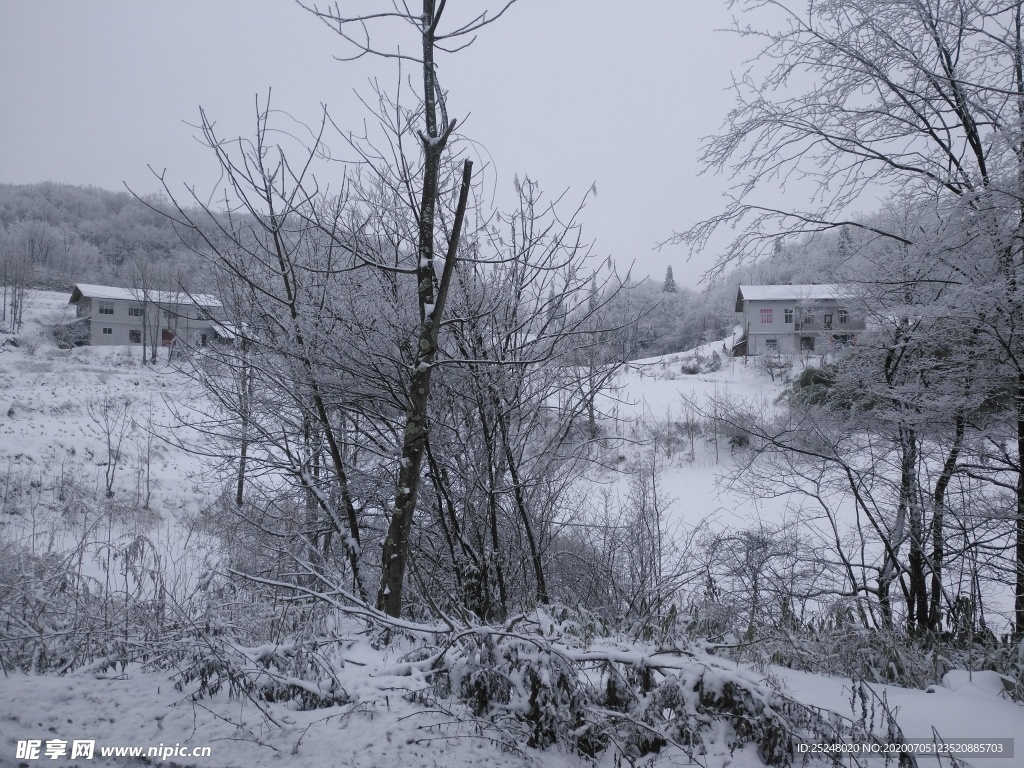 冰天雪地