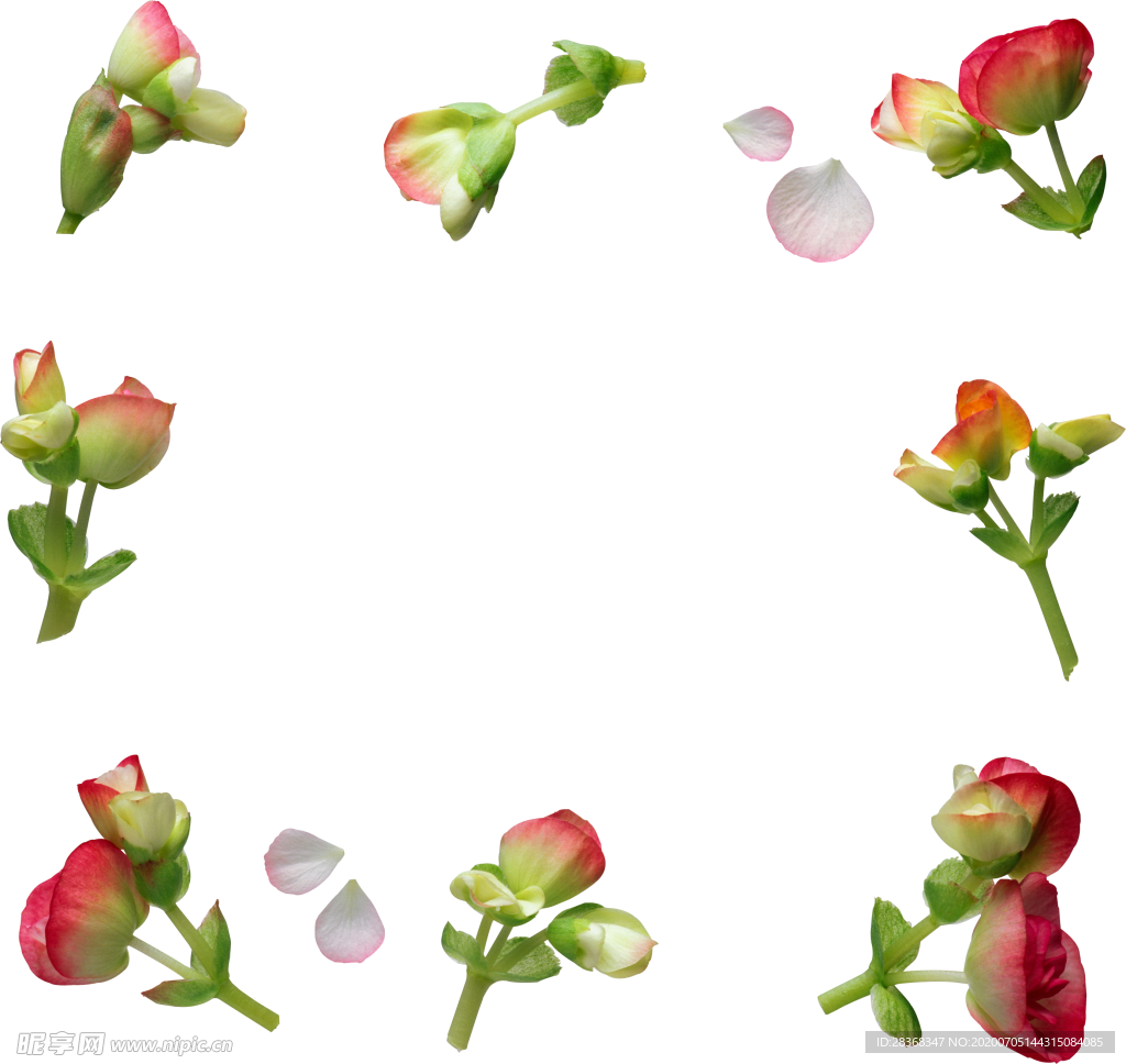 花