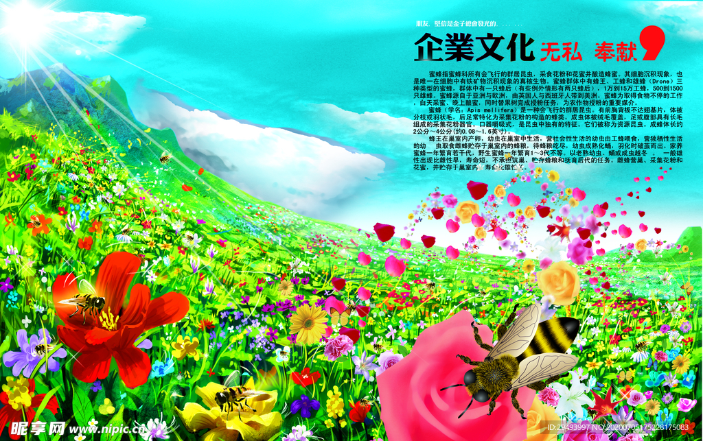 企业文化展板