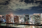 风景