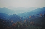 风景