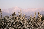 风景