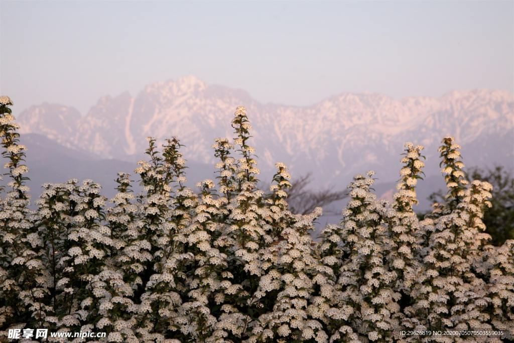 风景