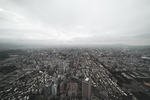 风景