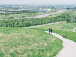风景