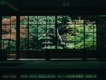 风景