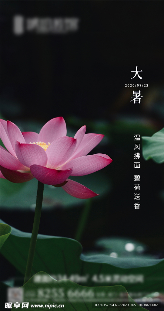 大暑