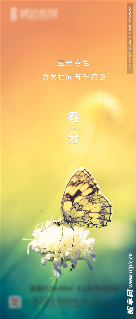 春分节气海报