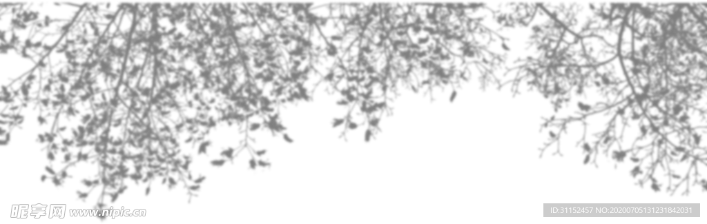 树枝剪影