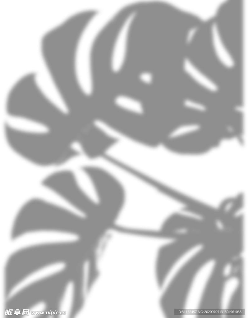 树影
