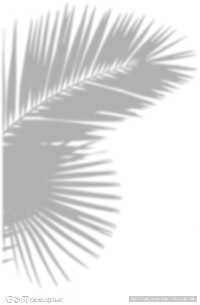 树影遮罩